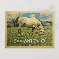 San Antonio Texas Horse Farm - Vintage voyage