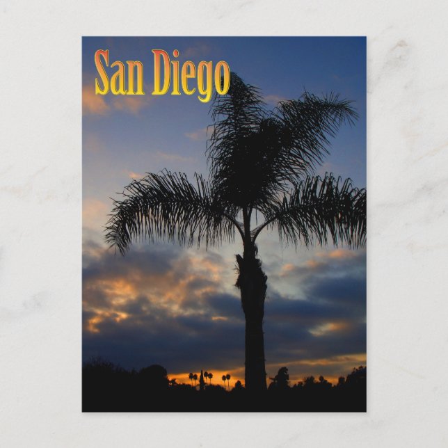 Carte Postale San Diego Palm Tree Sunset Postcard (Devant)