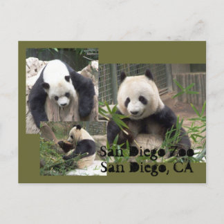 Carte postale San Diego Zoo