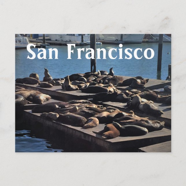 Carte postale San Francisco (Devant)