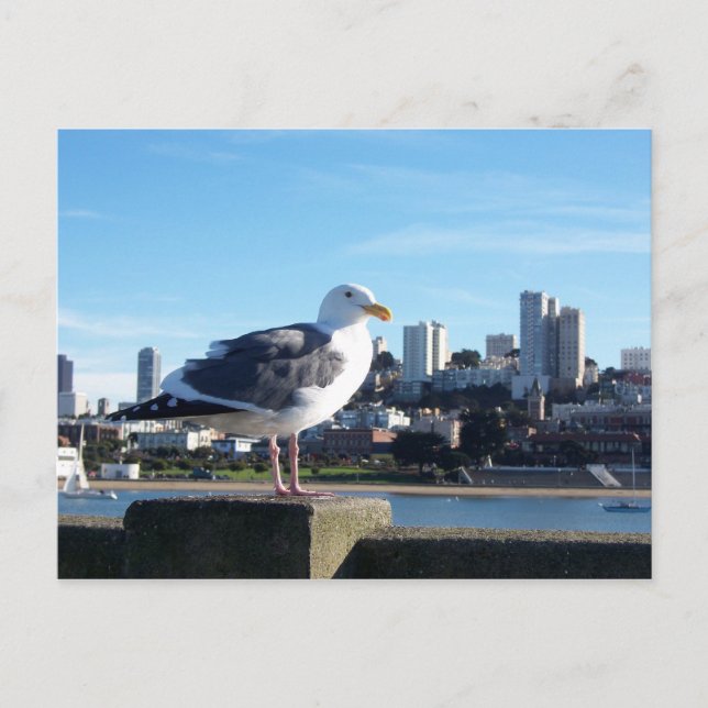 Carte Postale san francisco. (Devant)