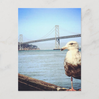 Carte Postale San Francisco Bay Bridge Seagull