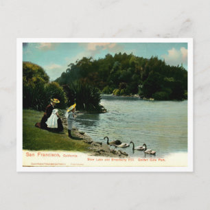 Carte Postale San Francisco Golden Gate Park Inspiration Vintage