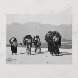 Carte Postale San Juan Chamula, Chiapas, Mexique