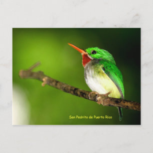 Carte postale San Pedrito de Porto Rico