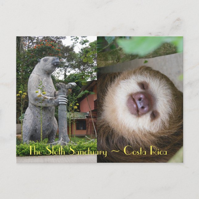Carte Postale Sanctuaire Sloth (Devant)