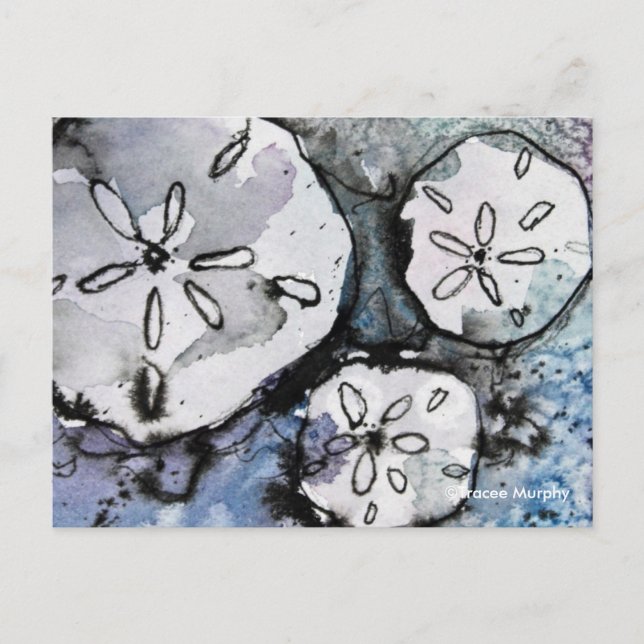 Carte Postale Sand Dollar Trio (Devant)