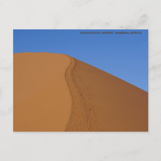 CARTE POSTALE SAND DUNE NAMIBIE AFRIQUE (Devant)