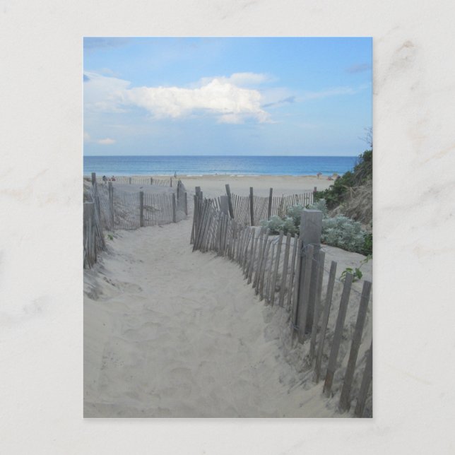 Carte Postale Sand Dunes Block Island (Devant)