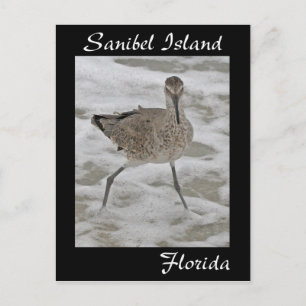 Carte postale Sandpiper de l'île de Sanibel