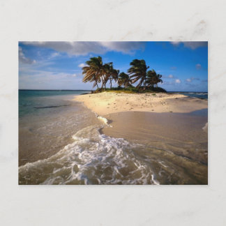 Carte Postale Sandy Island, Anguilla, Caraïbes