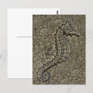 Carte Postale Sandy Textured Seahorse Photo