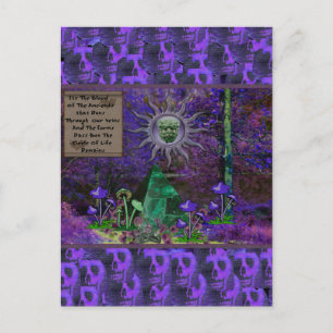 Carte Postale Sang Des Anciens