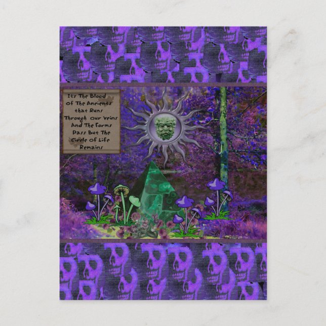 Carte Postale Sang Des Anciens (Devant)