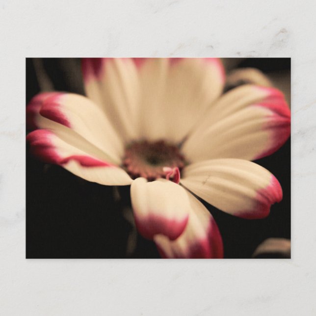 Carte postale sans respiration (Devant)