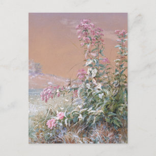 Carte Postale Sans titre Ponts Fidelia