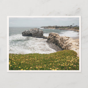 Carte Postale Santa Cruz Ponts Naturels Californie Fleurs Sauvag