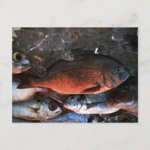 Carte Postale Santorin poisson frais Grèce