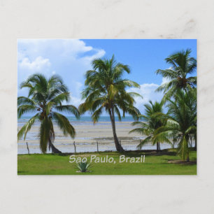 Carte Postale Sao Paulo, Brésil palmiers