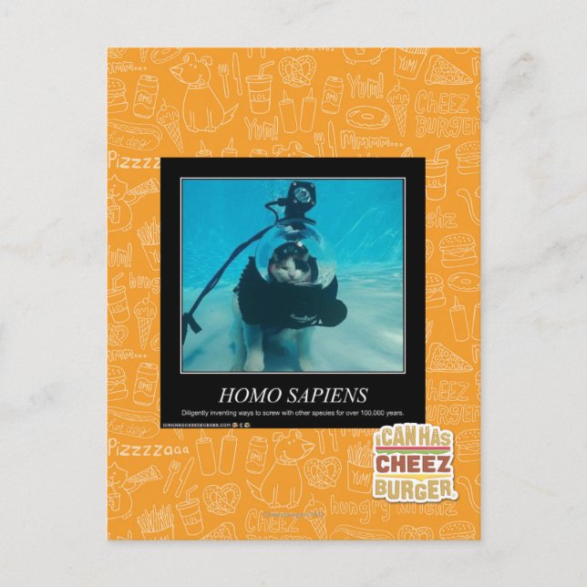 Carte Postale Sapiens Homos (Devant)