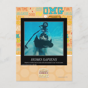 Carte Postale Sapiens Homos