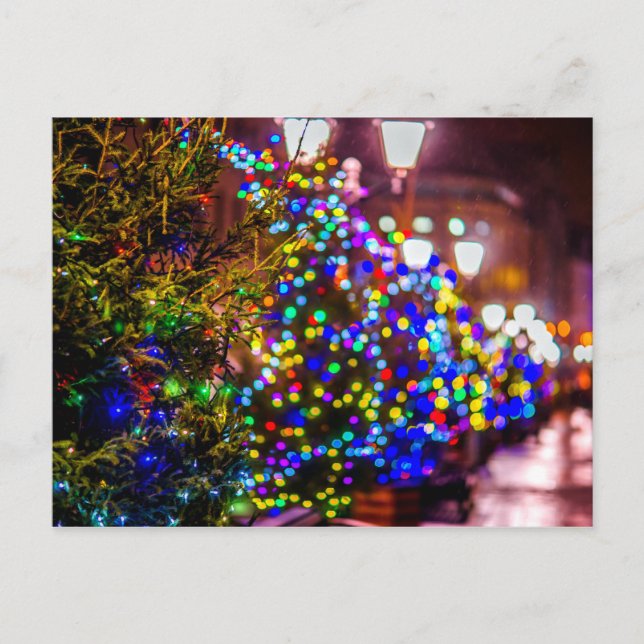 Carte Postale Sapins de Noël Dans La Rue (Devant)