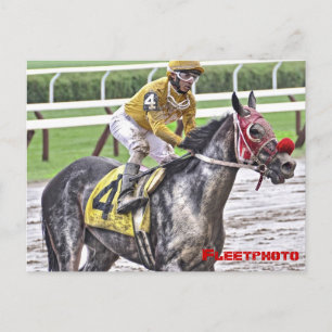 Carte Postale Saratoga 150 Photos d'Art