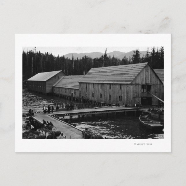 Carte Postale Saumon Cannery près de Ketchikan, Alaska (Devant)