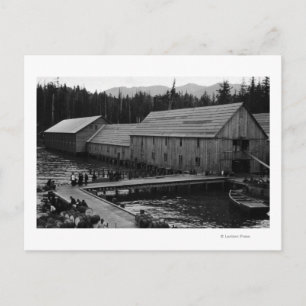 Carte Postale Saumon Cannery près de Ketchikan, Alaska