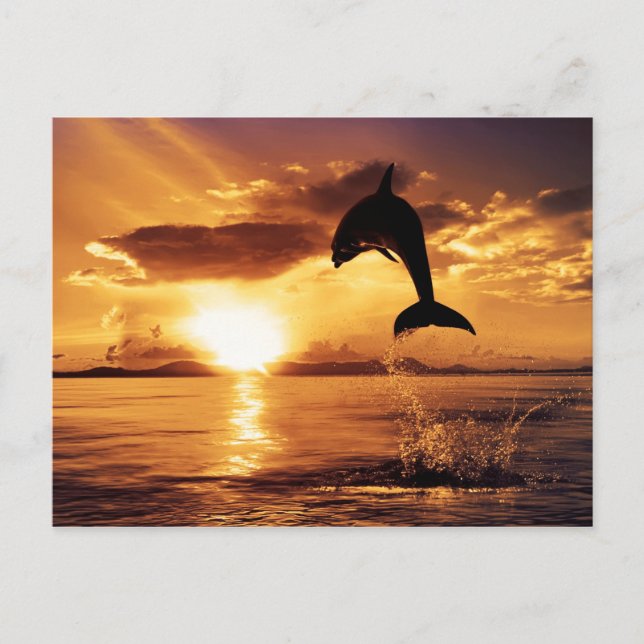 Carte Postale Saut de soleil (Devant)