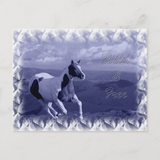 Carte postale sauvage et gratuite (Devant)
