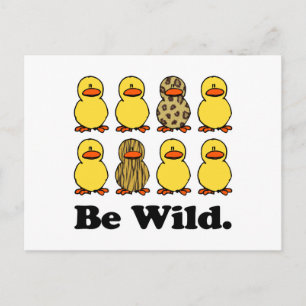 Carte Postale Sauvages Canards