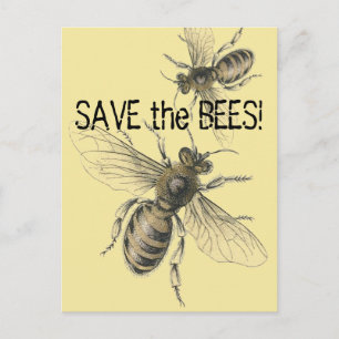 Carte Postale Sauvegarder les Abeilles Images Vintage d'Abeilles