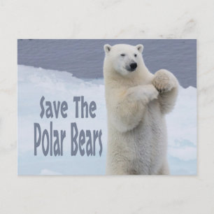 Carte Postale Sauver les ours polaires