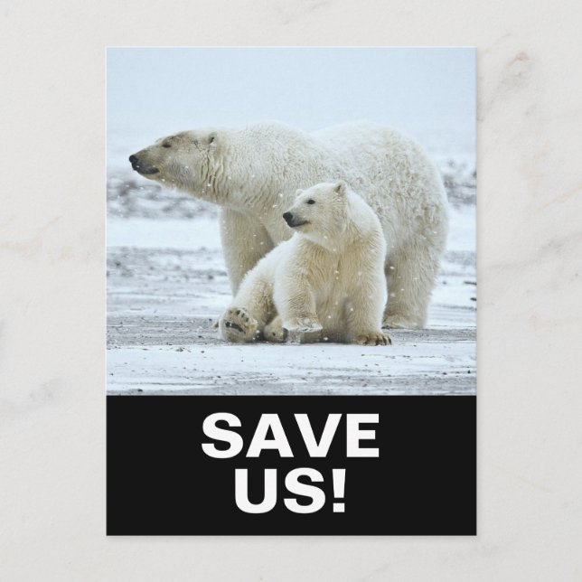 Carte Postale Sauver les ours polaires slogan d'activisme climat (Devant)