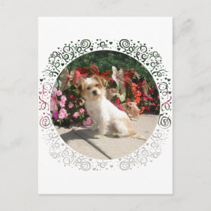 Carte Postale Sauvetage de chien de race Terrier mixte