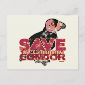 Carte Postale Sauvez le condor de Californie