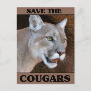 Carte Postale Sauvez le Cougar