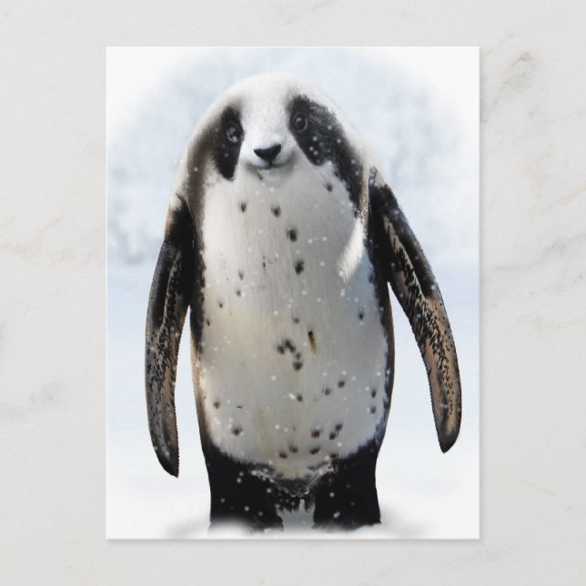 Carte Postale Sauvez le Panguin ! (Devant)