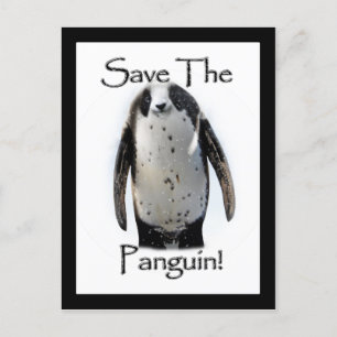 Carte Postale Sauvez Le Panguin !