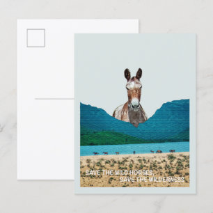Carte Postale Sauvez les chevaux sauvages, sauvez la nature sauv