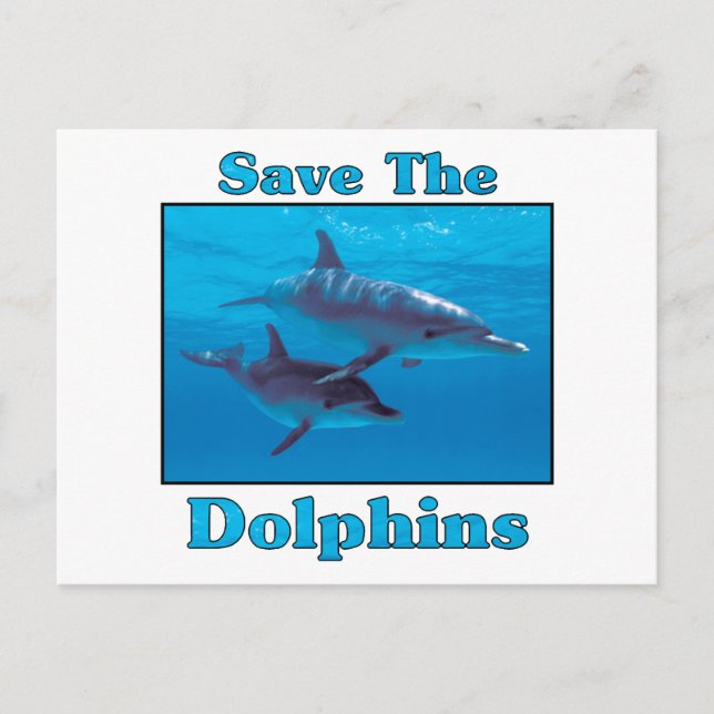 Carte Postale Sauvez les dauphins (Devant)
