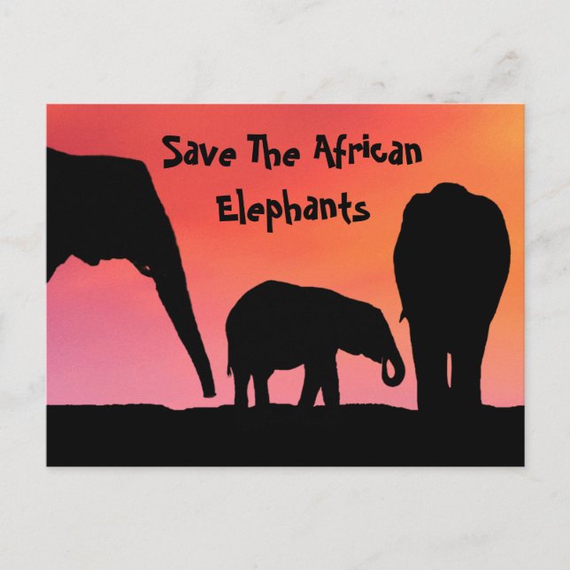 Carte Postale Sauvez les éléphants africains (Devant)