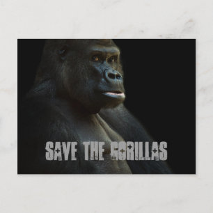Carte Postale Sauvez Les Gorilles