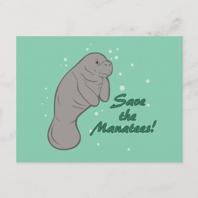Carte Postale Sauvez les Manatees ! (Devant)