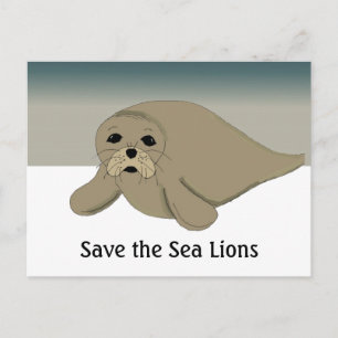 Carte Postale Sauvez les Otaries