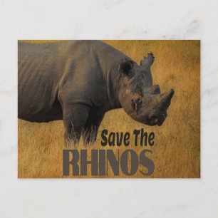Carte Postale Sauvez Les Rhinos