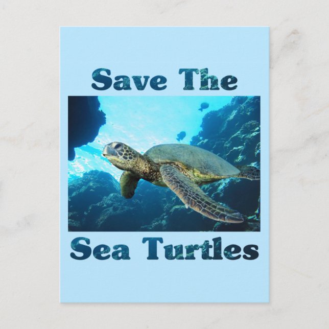Carte Postale Sauvez les tortues marines (Devant)