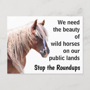 Carte Postale Sauvez nos chevaux sauvages