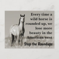 Sauvez nos chevaux sauvages